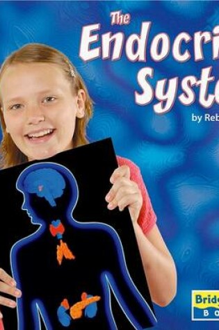 Cover of The Endocrine System