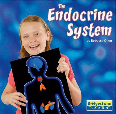 Cover of The Endocrine System