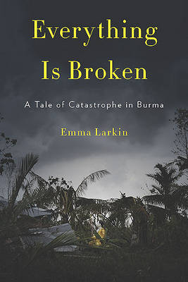 Book cover for Everything is Broken