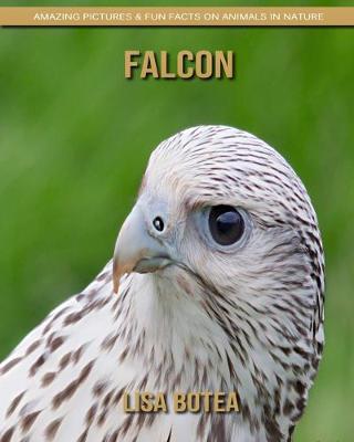 Book cover for Falcon