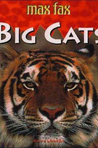 Cover of Big Cats