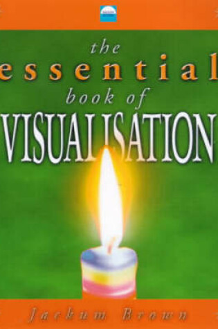 Cover of The Essential Book of Visualisation