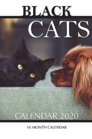 Cover of Black Cats Calendar 2020