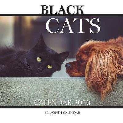 Book cover for Black Cats Calendar 2020