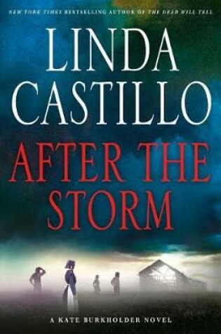 Cover of After the Storm