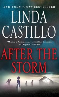 Book cover for After the Storm