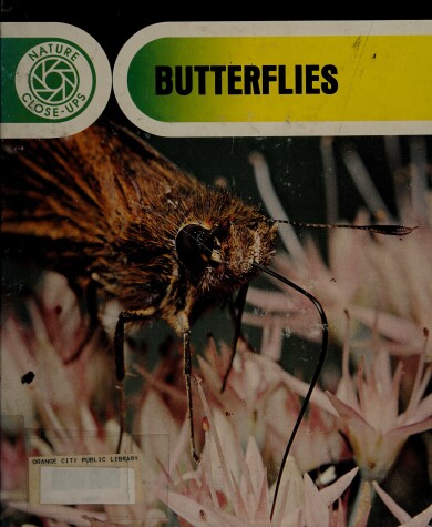 Book cover for Butterflies