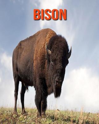 Book cover for Bison