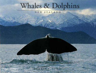 Book cover for Whales and Dolphins New Zealand