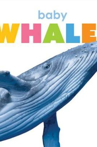 Cover of Baby Whales