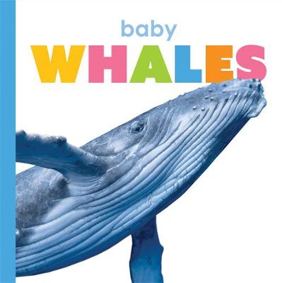 Book cover for Baby Whales