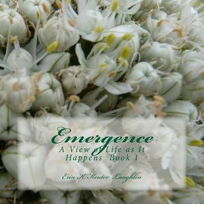 Cover of Emergence