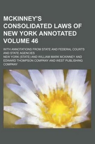 Cover of McKinney's Consolidated Laws of New York Annotated Volume 46; With Annotations from State and Federal Courts and State Agencies