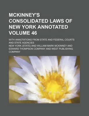 Book cover for McKinney's Consolidated Laws of New York Annotated Volume 46; With Annotations from State and Federal Courts and State Agencies