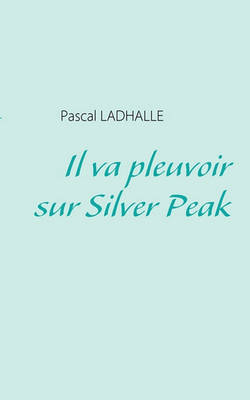 Book cover for Il Va Pleuvoir Sur Silver Peak