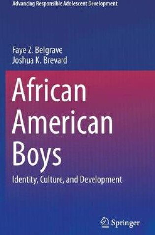 Cover of African American Boys