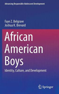 Cover of African American Boys