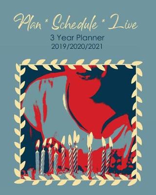 Cover of Plan Schedule Live