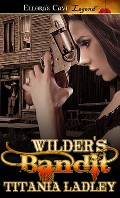 Book cover for Wilder's Bandit