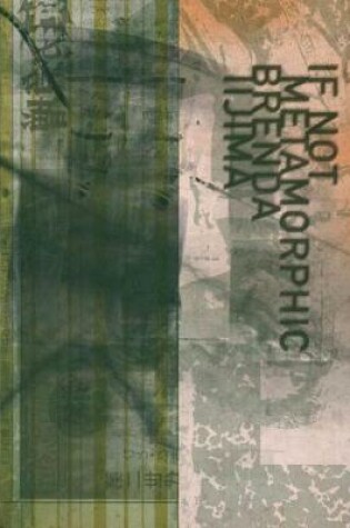 Cover of If Not Metamorphic