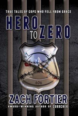 Book cover for Hero To Zero 2nd Edition