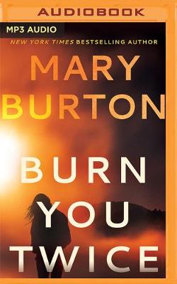 Book cover for Burn You Twice