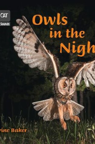 Cover of Owls in the Night