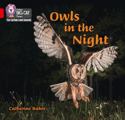 Book cover for Owls in the Night