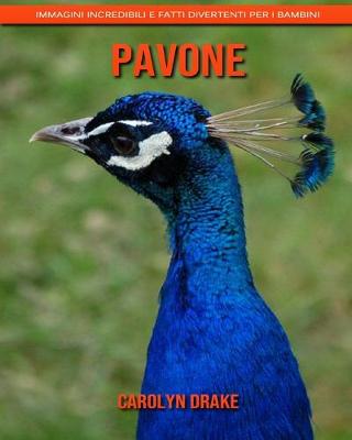 Book cover for Pavone