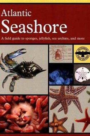 Cover of Atlantic Seashore