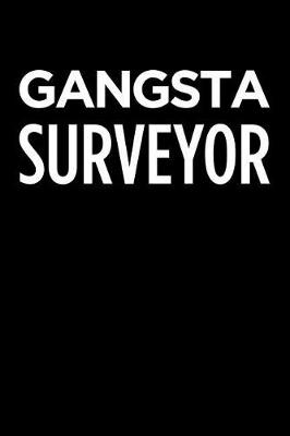 Book cover for Gangsta Surveyor