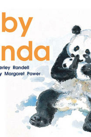Cover of Baby Panda