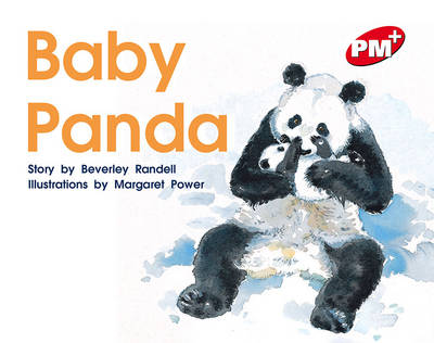 Book cover for Baby Panda