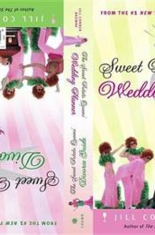 Cover of Sweet Potato Queens' Wedding Planner/Divorce Guide
