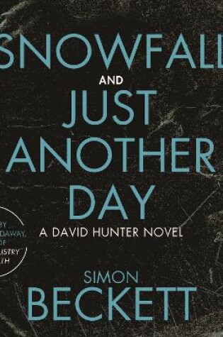 Cover of Snowfall & Just Another Day
