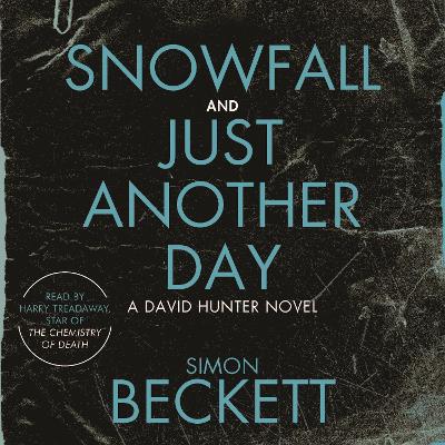 Book cover for Snowfall & Just Another Day