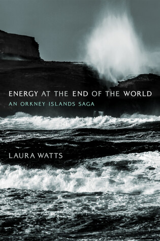 Cover of Energy at the End of the World