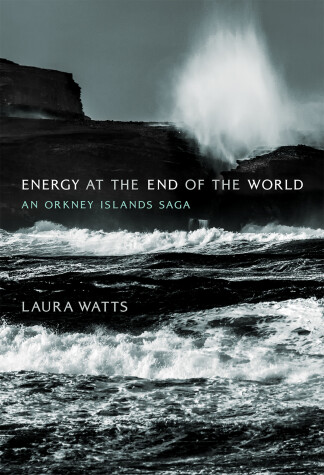 Book cover for Energy at the End of the World