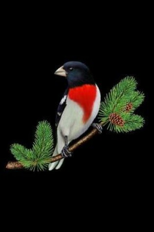 Cover of Rose-Breasted Grosbeak On Branch