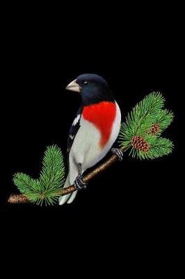 Book cover for Rose-Breasted Grosbeak On Branch