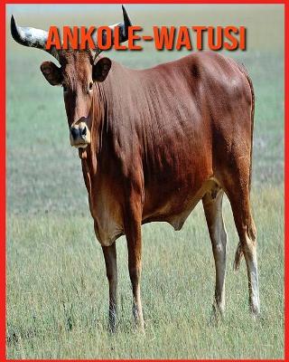 Book cover for Ankole-Watusi