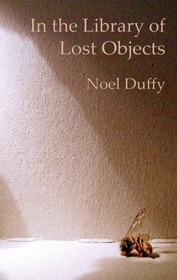 Book cover for In the Library of Lost Objects