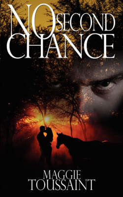 Book cover for No Second Chance