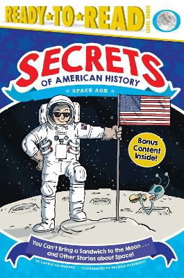 Book cover for You Can't Bring a Sandwich to the Moon . . . and Other Stories about Space!