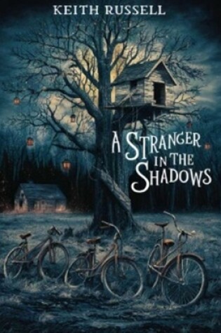 Cover of A Stranger in the Shadows