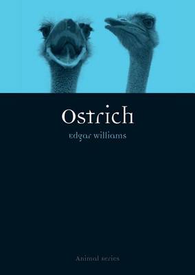 Book cover for Ostrich