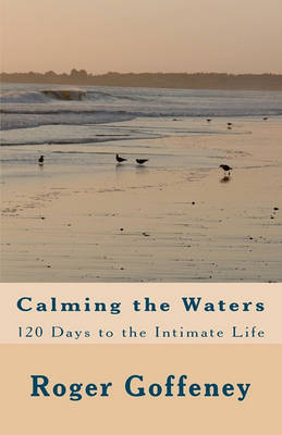 Book cover for Calming the Waters