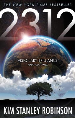 Book cover for 2312