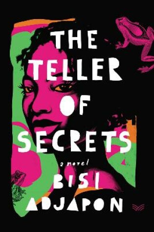Cover of The Teller of Secrets