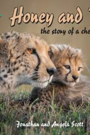 Cover of Cambridge Reading Adventures Honey and Toto: The Story of a Cheetah Family 1 Pathfinders